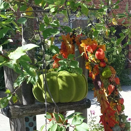 Gutshof Zum Adlernest 3*