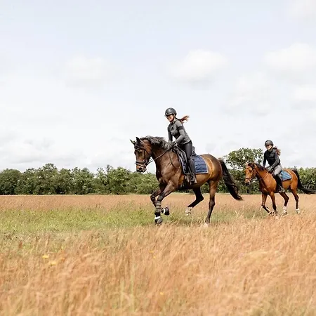 Gutshof Zum Adlernest Penzion 3*