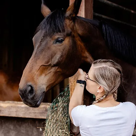 Gutshof Zum Adlernest 3*