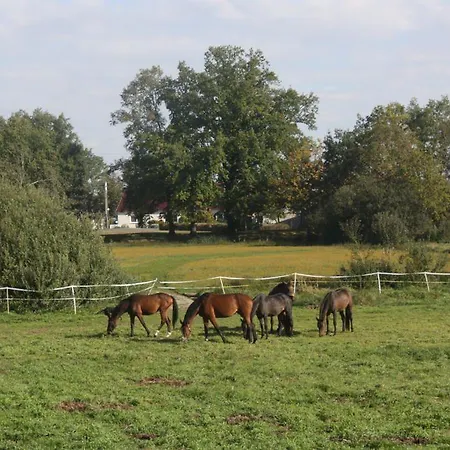 Gutshof Zum Adlernest