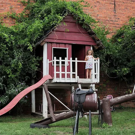 Gutshof Zum Adlernest 3* Arnsnesta