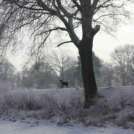 Gutshof Zum Adlernest