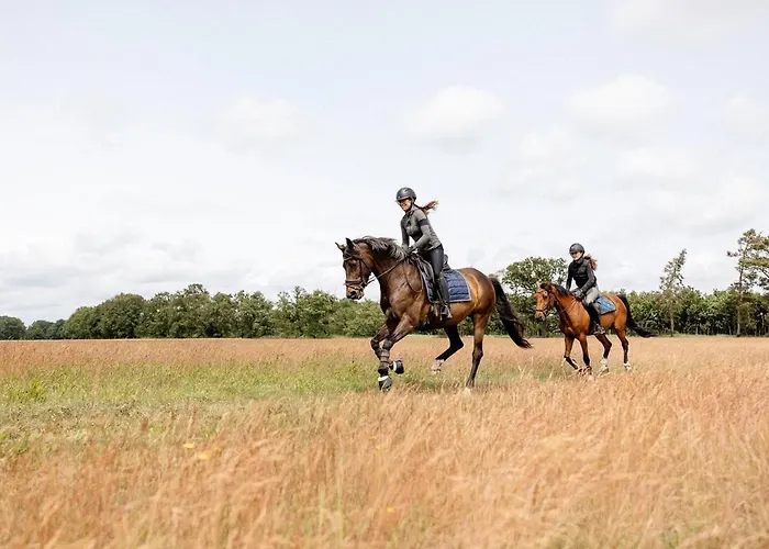 阿德勒奈斯特旅馆 招待所 3*