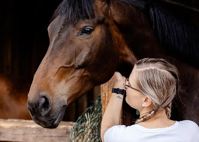 阿德勒奈斯特旅馆 3*