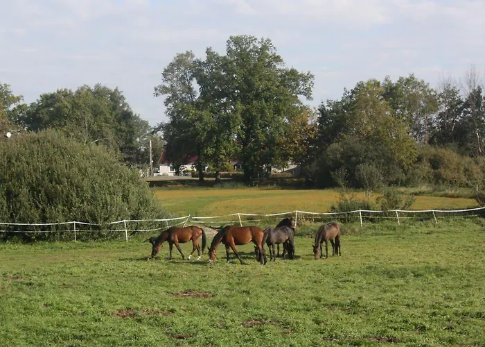 Gutshof Zum Adlernest