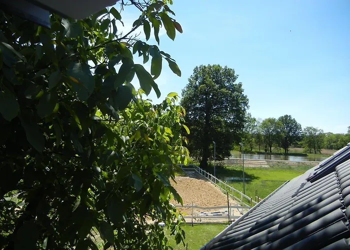 Gutshof Zum Adlernest Penzion Arnsnesta