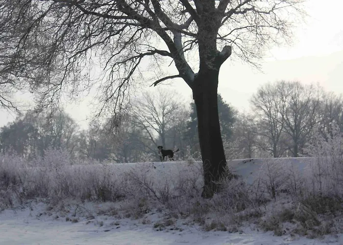 Gutshof Zum Adlernest