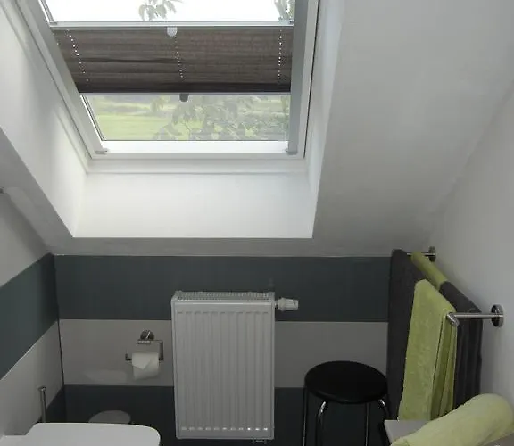 阿德勒奈斯特旅馆